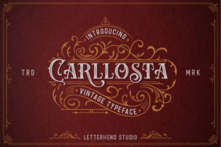 Carlosta Display Font Review for Branding Projects