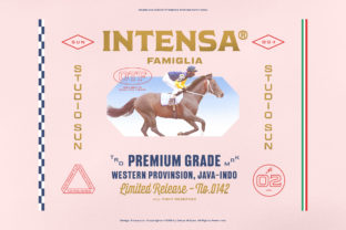 Intensa Family: A Vintage-Inspired Display Font for Creative Projects