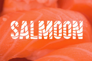 Salmoon Font for Professional Branding and Design
