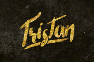 Tristan: The Font That Elevates Your Brand